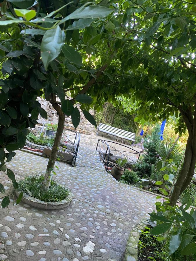 Hotel Holiday House Chkonia Batumi Zewnętrze zdjęcie