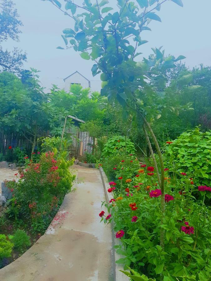 Hotel Holiday House Chkonia Batumi Zewnętrze zdjęcie